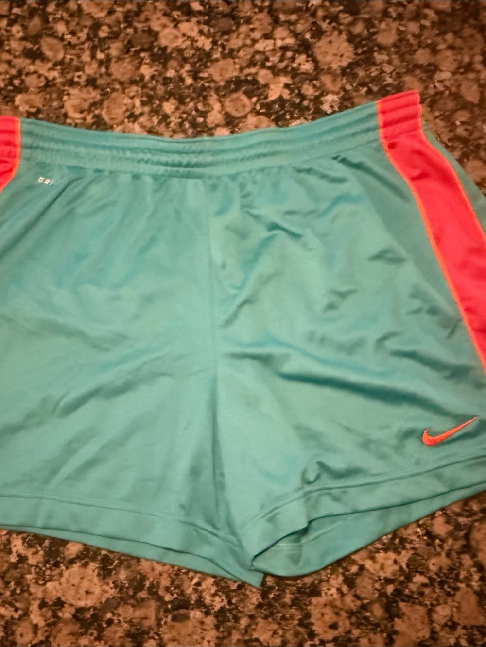 Nike Women's Teal Athletic Shorts